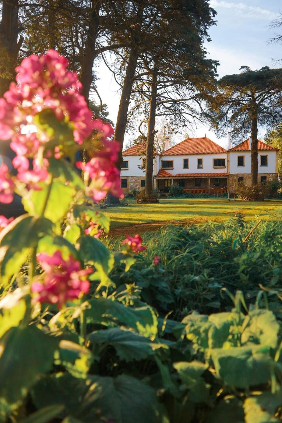 Lugar Da Pedra Alta - B&B - Private Historical Villa Melo Exterior photo
